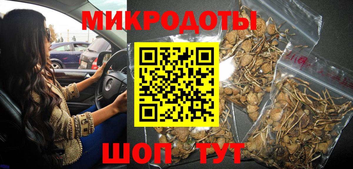 Псилоцибиновые грибы прущие грибы Тольятти