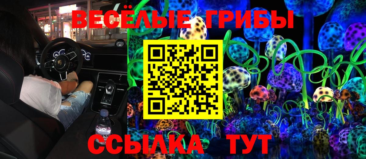 Тольятти  Галлюциногенные грибы GOLDEN TEACHER  Вход с VPN  Галлюциногенные грибы GOLDEN TEACHER 